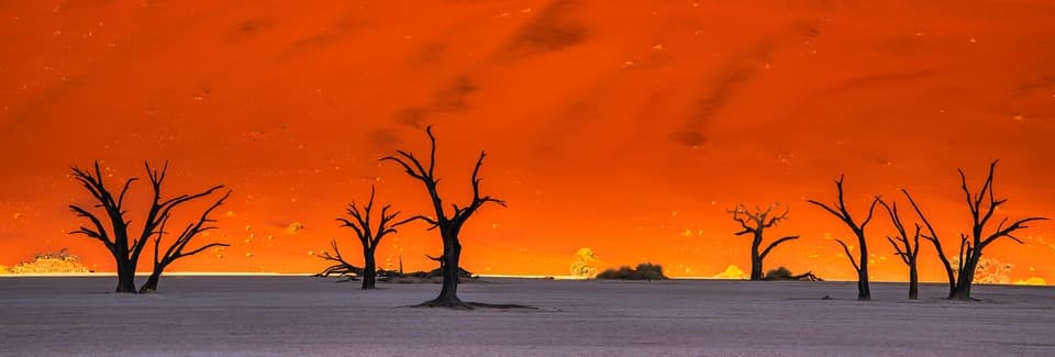 Namibia album cover
