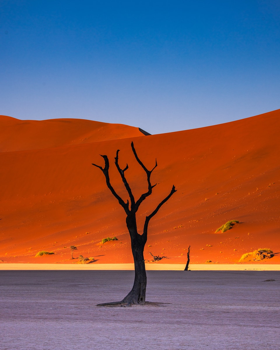 Namibia photo: deadvlei