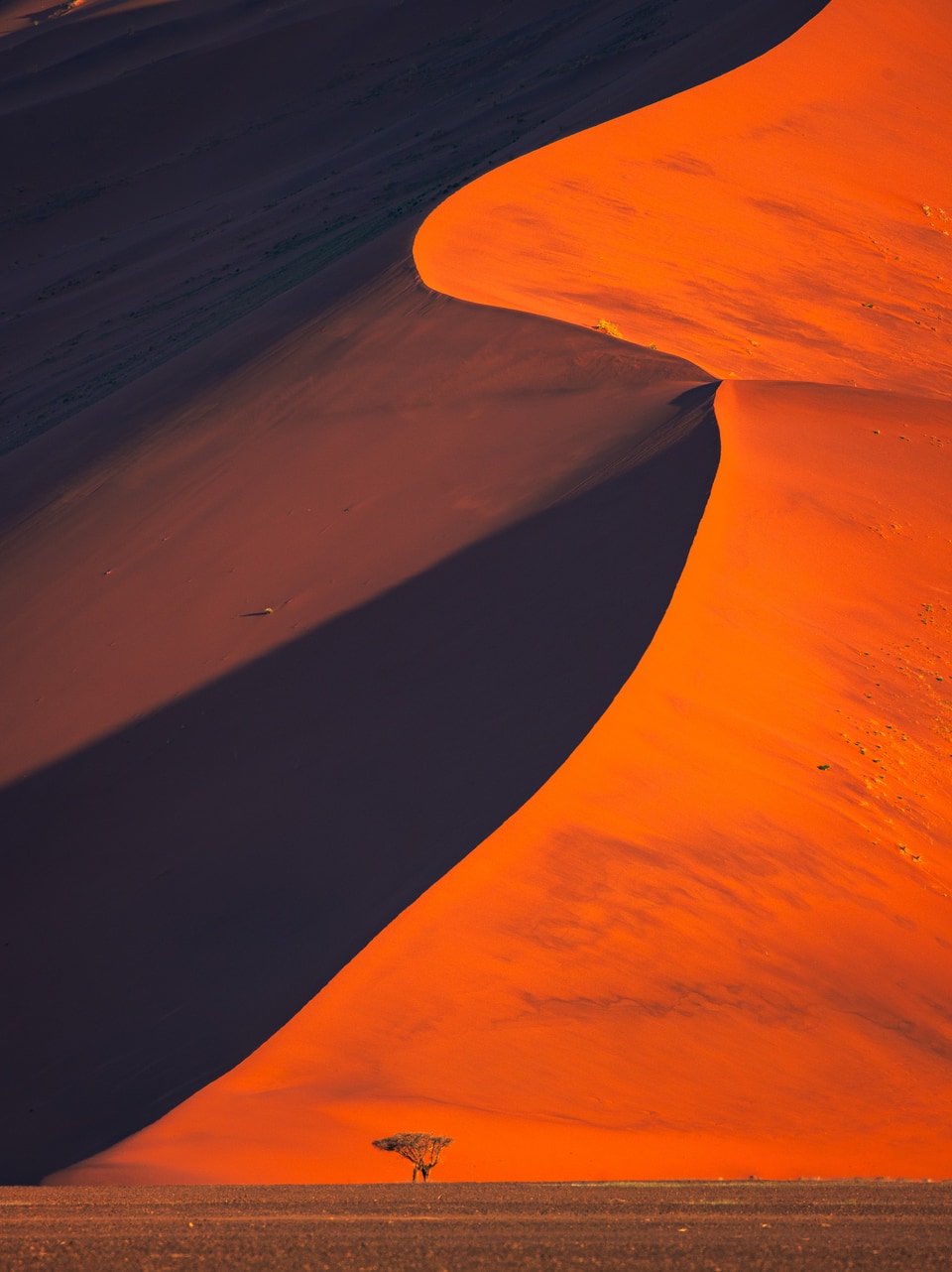 Namibia photo: sanddunes